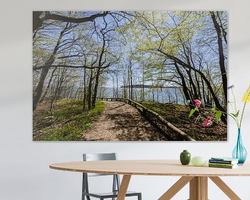 Fiets- en wandelpad langs het natuurstrand in de Goor