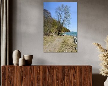 Fiets- en wandelpad langs het natuurstrand in de Goor van GH Foto & Artdesign