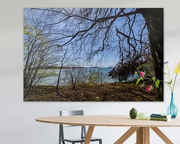 Aan de kust in de Goor, Vilmeiland, Lauterbach op Rügen van GH Foto & Artdesign