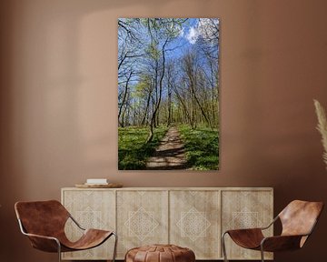 Cycling and walking path along the natural beach in the Goor by GH Foto & Artdesign