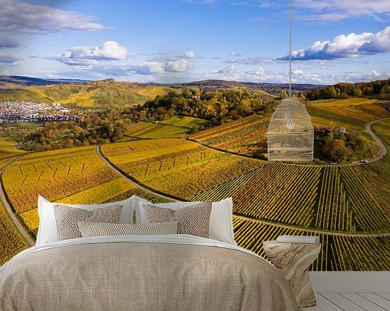 Aperçu de la chambre