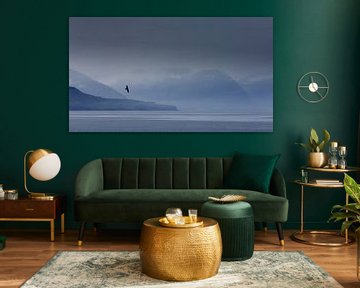 Raaf voor fjordenlandschap van Sam Mannaerts