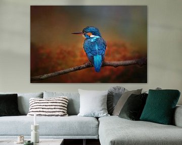 Photographie d'un oiseau de glace dans un paysage d'automne sur Diana van Tankeren