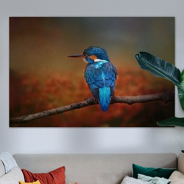 Foto eines Eisvogels in Herbstlandschaft