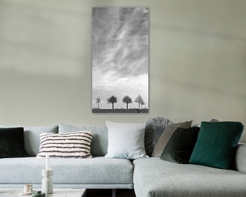 Tree row on a Dutch dike by Discover Dutch Nature