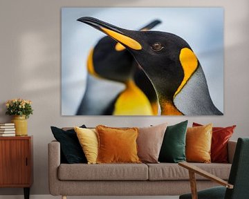 LP 71107881 Close up of a king penguin by BeeldigBeeld Food & Lifestyle