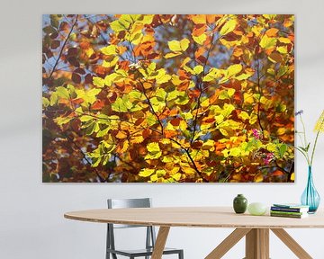 Kleurrijke herfstbladeren aan een beuk van Torsten Krüger