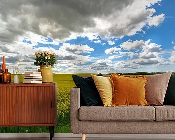 Rapsfeld bei Sehlen auf der Insel Rügen