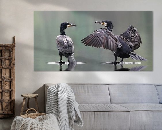 Aperçu de la chambre