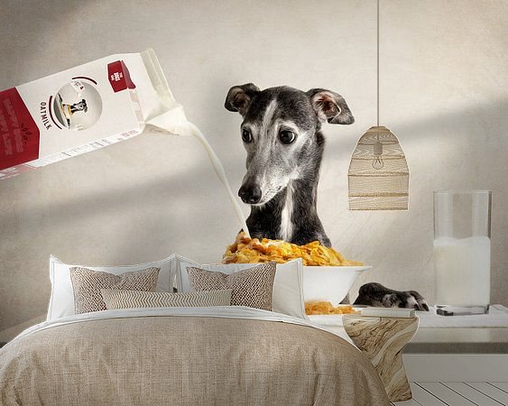 Voorbeeld van het werk in een kamer