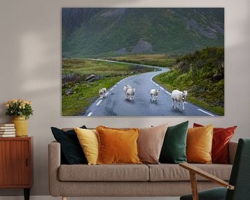 Des moutons sur la route