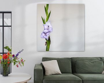 Green branch with a lilac gladiolus by Idema Media