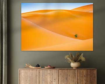 Abstractie in de woestijn van Sam Mannaerts