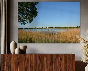Wreech-meer bij Neukamp, Putbus op het eiland Rügen van GH Foto & Artdesign