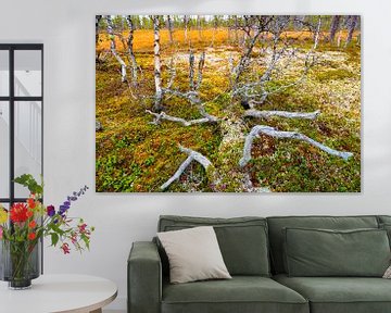 Gefällter Baum in Sprachlandschaft