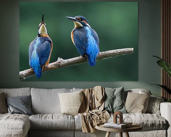 Aperçu de la chambre