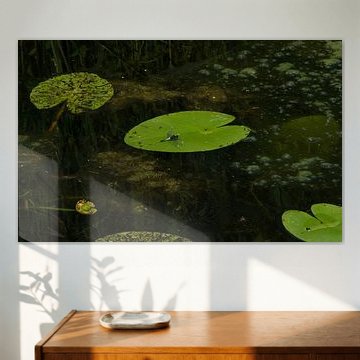 Graceful white-beaked lily, photo as if painted