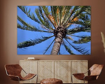 Kroon van een palmboom tegen een strakblauwe hemel in park Palmeral in Elche, Spanje. van Gert Bunt