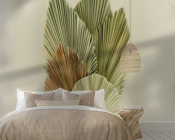 Still life dried palm tree leaves by Maurice Dawson