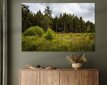 Wandelen door natuurpark Hoge Venen Eifel van OCEANVOLTA