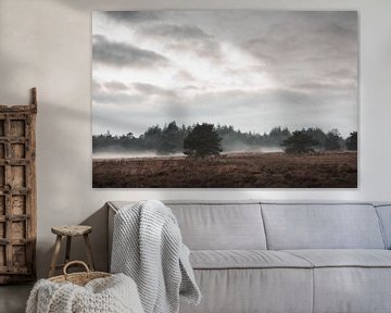 A foggy Veluwe | The Veluwe heathland by Nanda van der Eijk