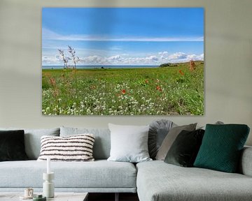 Klatschmohn und Wiesenblumen, Groß Zicker,  Rügen von GH Foto & Artdesign