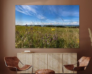 Groß Zicker, uitzicht op Klein Zicker, het meer Zicker en de Oostzee, Ruegen van GH Foto & Artdesign