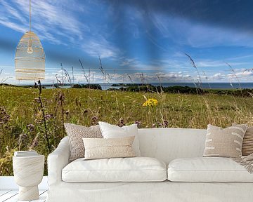 Groß Zicker, Blick zum Klein Zicker, den Zicker See und die Ostsee, Rügen