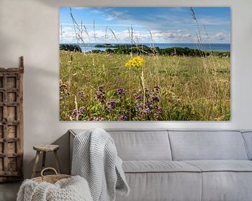 Groß Zicker, Blick zum Klein Zicker, den Zicker See und die Ostsee, Rügen von GH Foto & Artdesign