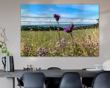 Groß Zicker, Blick zum Klein Zicker, den Zicker See und die Ostsee, Rügen von GH Foto & Artdesign