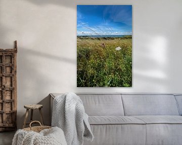 Groß Zicker, Blick zum Klein Zicker, den Zicker See und die Ostsee, Rügen von GH Foto & Artdesign