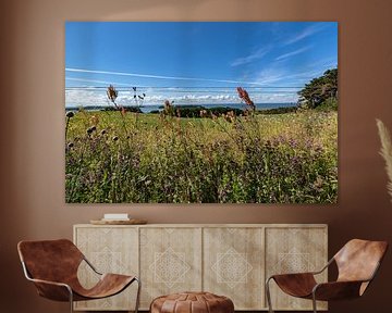 Nahaufnahme, Groß Zicker, Blick zum Klein Zicker, den Zicker See und die Ostsee, Rügen von GH Foto & Artdesign