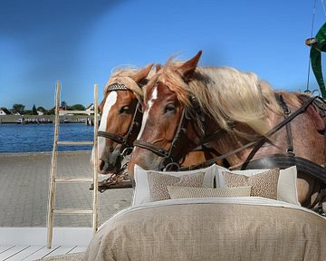 Paarden in Vitte op het eiland Hiddensee