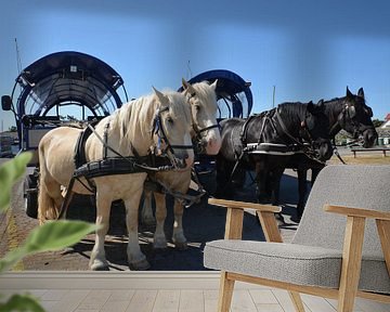 Paardenkoets in Vitte aan de Hiddensee