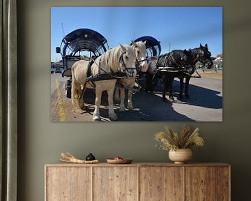 Voiture à cheval à Vitte sur le Hiddensee