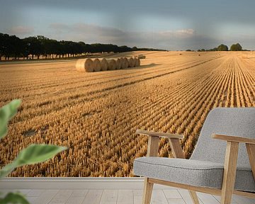 Strohballen bei Nadelitz, Erntezeit auf Rügen