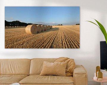 Strobalen bij Nadelitz, oogsttijd op Rügen van GH Foto & Artdesign
