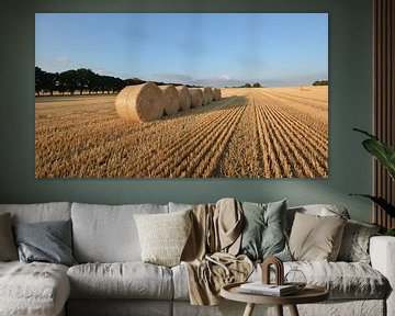 Strobalen bij Nadelitz, oogsttijd op Rügen van GH Foto & Artdesign