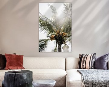 Palmboom van Marianne Bal