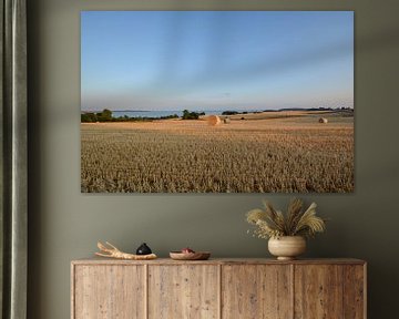 Strobalen bij Groß Stresow, oogsttijd op Rügen van GH Foto & Artdesign
