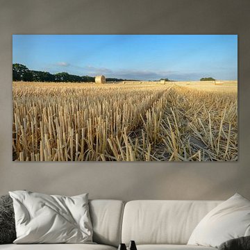 Straw bales near Nadelitz, harvest time on Rügen