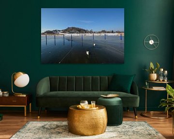 Schwäne am zugefrorenen Bodden, Hafen Moritzdorf von GH Foto & Artdesign