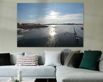 Zwanen in het bevroren meer Wreecher See, Putbus, Rügen van GH Foto & Artdesign