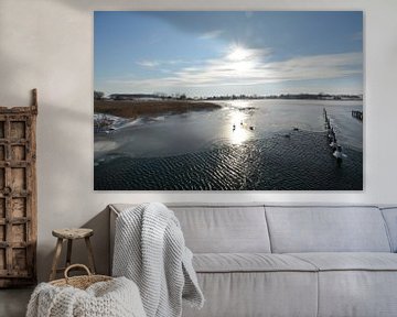 Zwanen in het bevroren meer Wreecher See, Putbus, Rügen van GH Foto & Artdesign