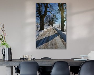 avenue enneigée en hiver près de Groß Stresow, île de Rügen