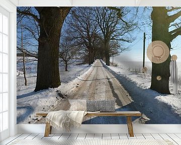 verschneite Allee im Winter bei Groß Stresow, Insel Rügen
