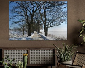 verschneite Allee im Winter bei Groß Stresow, Insel Rügen von GH Foto & Artdesign