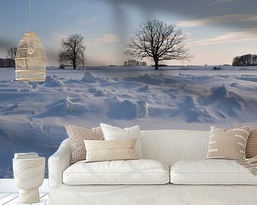 Schneeverwehungen bei Neukamp, Putbus, Insel Rügen
