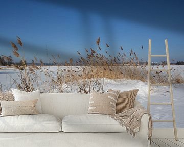 Winterlandschaft, Bollwerk Baabe, Insel Rügen