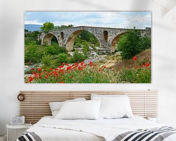 Steinerne römische Bogenbrücke Pont Julien über den Fluss Calavon bei Apt (Frankreich) mit einem Moh von Gert Bunt